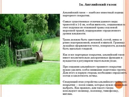 Как по английски будет дерн