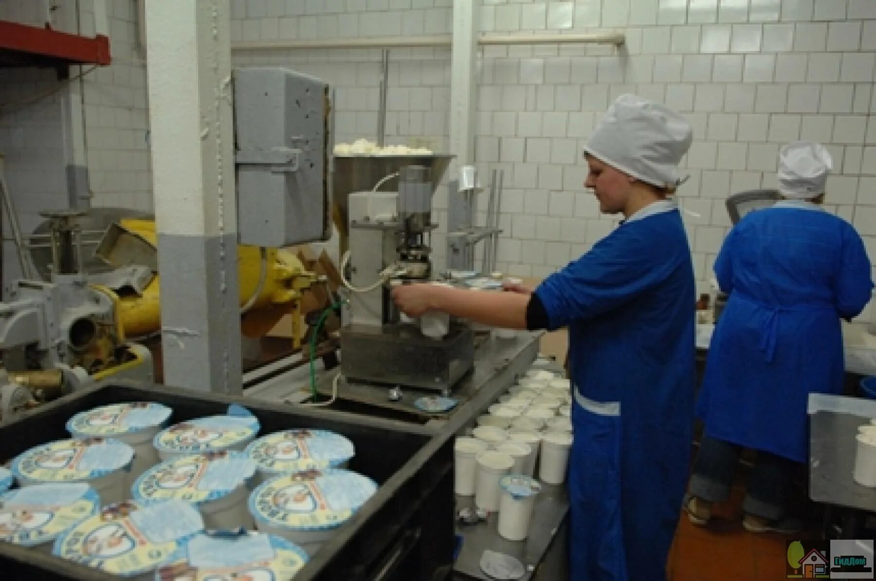 свиноферма в новосибирской области. ооо спк машкино. ооо спк машкино. юлия шишкина свинокомплекс. предприятия коломны.