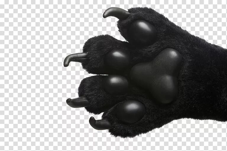 Sharp claws