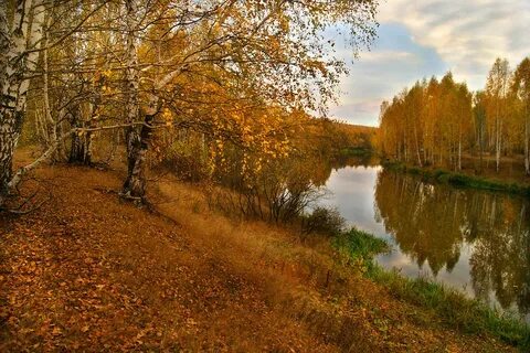 Спешит осень