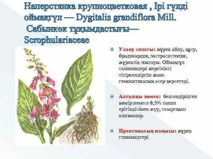 Настой наперстянки
