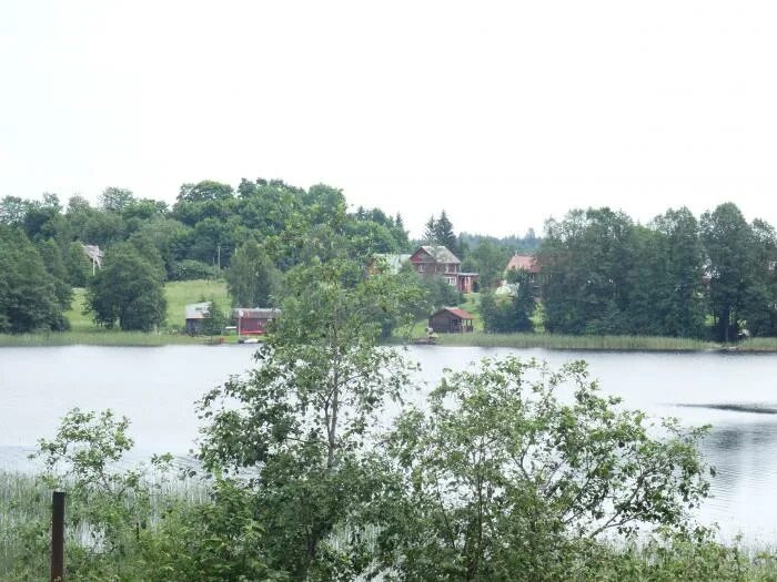 Красные горы деревня лужский район район. Деревня красная горка перевозский район. Деревня красные горы. Ленинградская область лужский район дер красные горы. Ленинградская область лужский район дер красные горы.