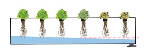 Start growing