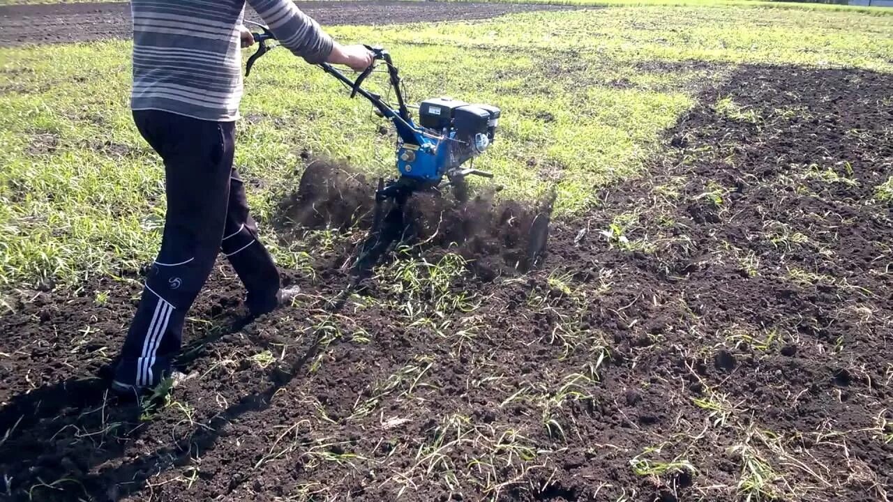 Сколько стоит вспахать мотоблоком 1 сотку. Вспашка земли культиватором Кайман. Вспашка огорода мотоблоком. Мотоблок рыхление почвы. Мотоблок для земли.