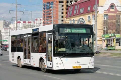 Автобус 442 москва