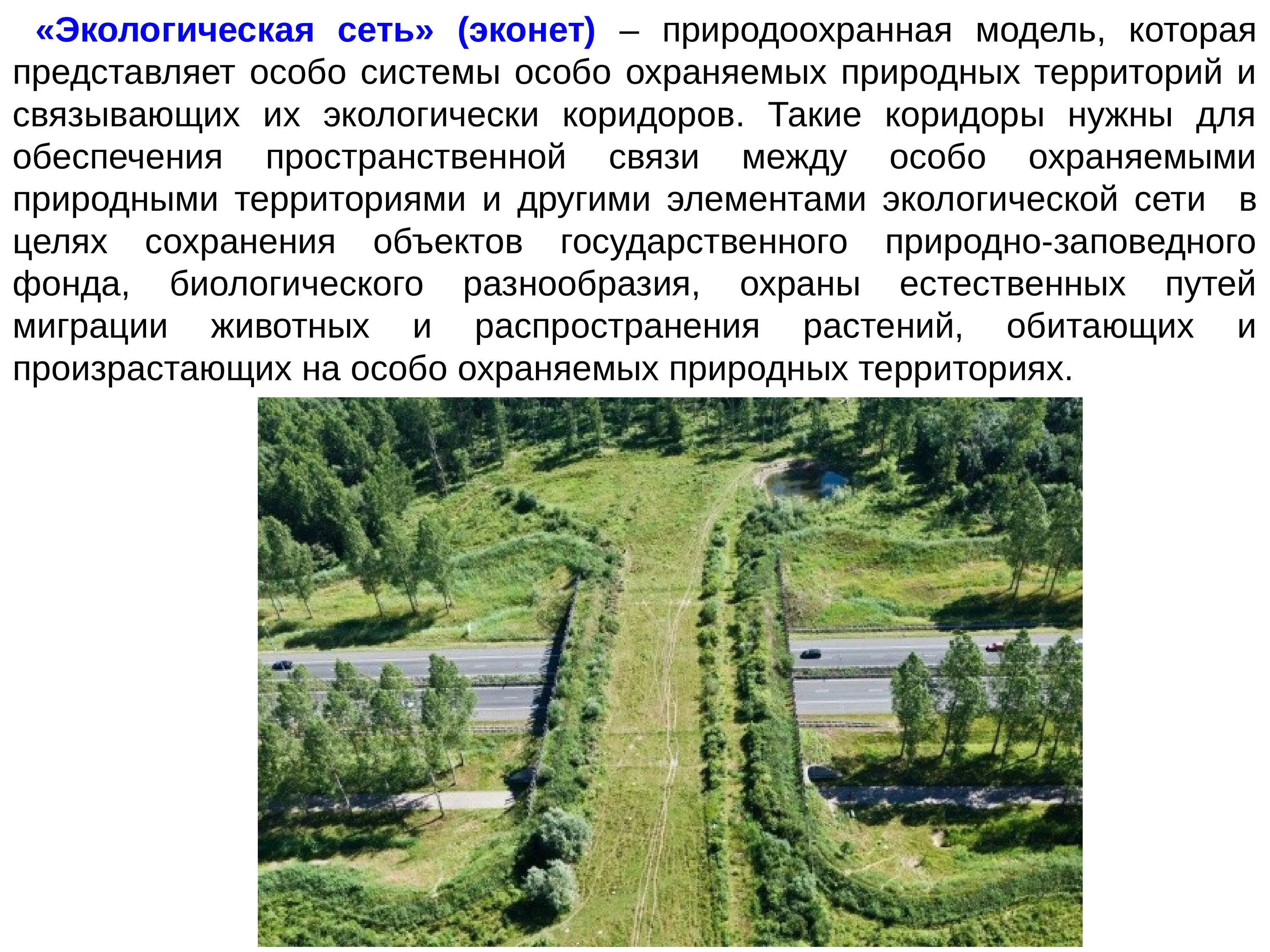 Использование природоохранной территории