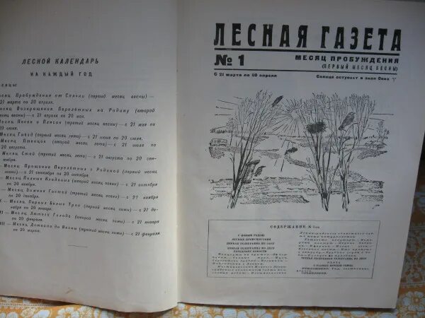 Аннотация лесная газета бианки 3 класс. Аннотация к книге Бианки Лесная газета. Бианки Лесная газета содержание книги.