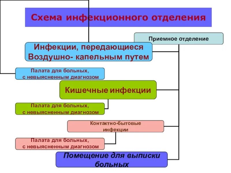 Структура инфекционного отделения схема. Схема приемного отделения. Структура инфекционной больницы и отделения. Структура инфекционной больницы.