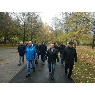 Жилищник восточное дегунино