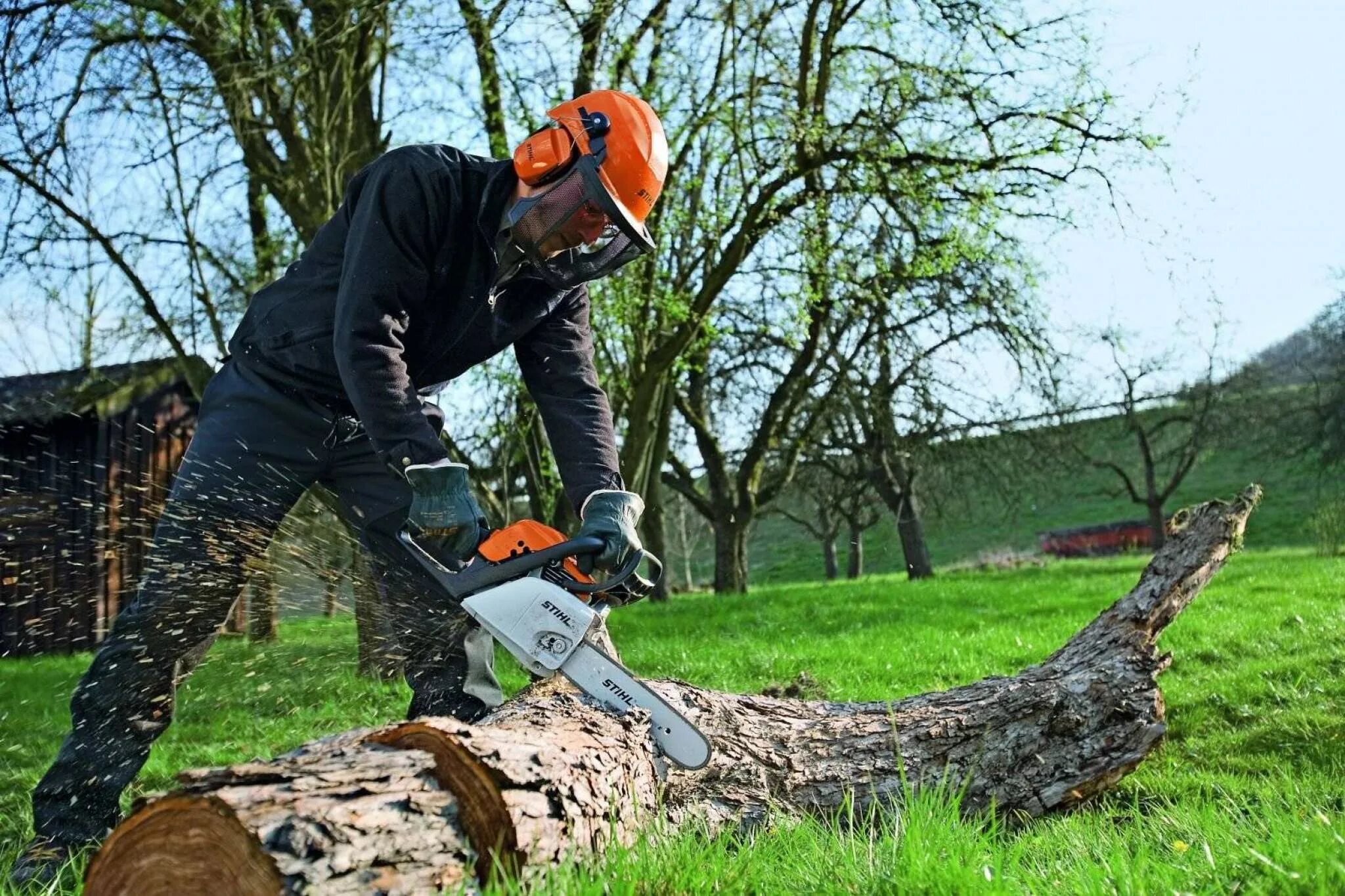 Спилка деревьев. Stihl ms 211. спил дерева. пилит дерево. спиливание деревьев.