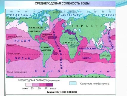 Соленость мирового океана 7 класс география
