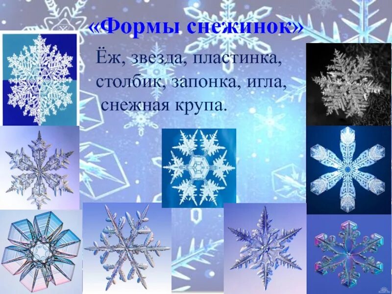 Снежинка окружающий мир 2 класс