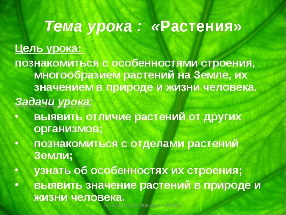 Растения в жизни человека. Роль растений в природе. Растения в природе и жизни человека. Значение растений в природе и жизни человека. Ведущая роль растений в природном сообществе заключается