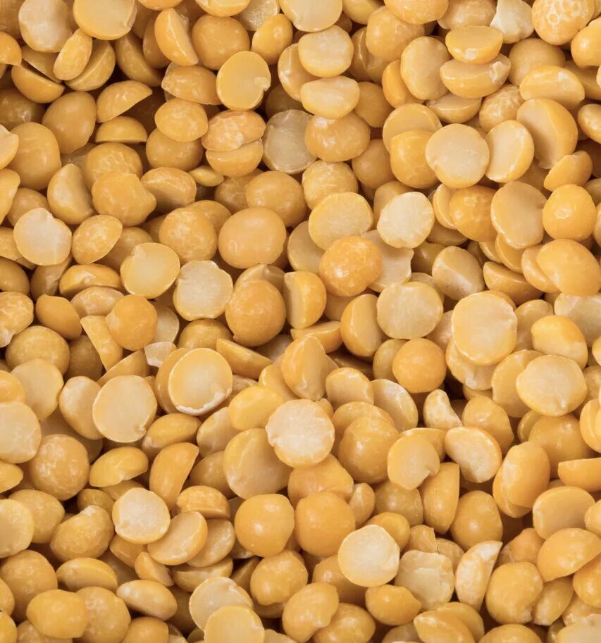 Горох желтый фуражный. Горох сушеный. Сухой горох. Сушеный горох желтый. Горох лущеный, крупа.