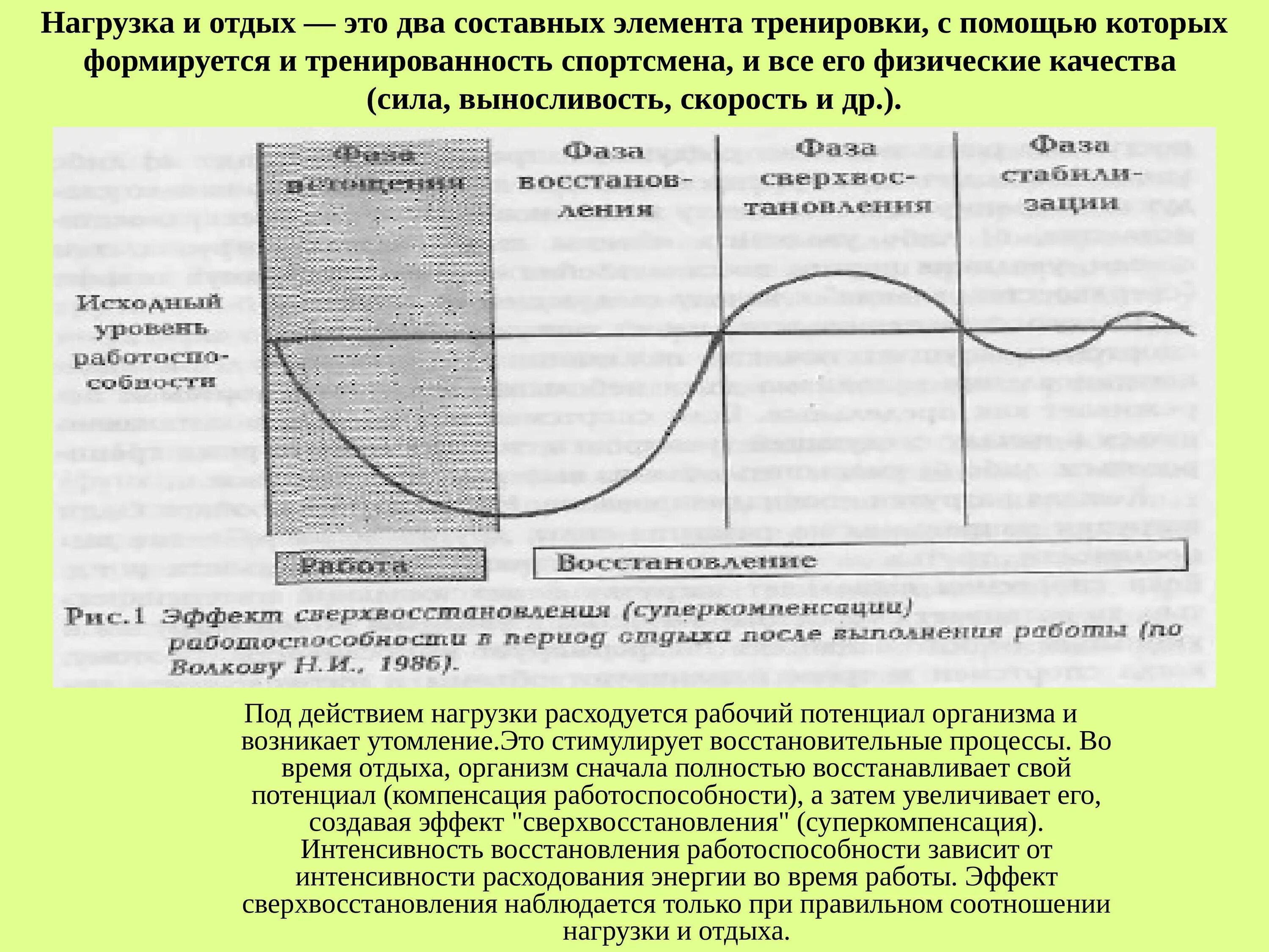 График восстановления работоспособности. Схема тренировочного процесса. Схему взаимоотношения работы и отдыха в процессе тренировки.. Фазы восстановления работоспособности.