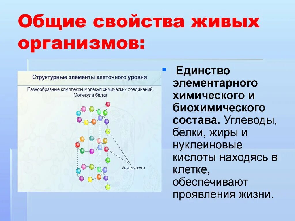 Свойства организмов. Основных свойств живых организмов. Общие св ва живых организмов. Общие свойства живых организмов характеристика. Группы химических элементов клетки