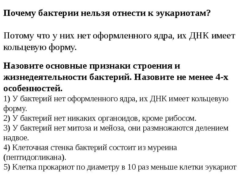 Почему бактерии относят к прокариотам. Почему бактерии не эукариоты. Почему бактерии нельзя отнести к эукариотам пояснение. Почему бактерии не относятся к эукариотам.