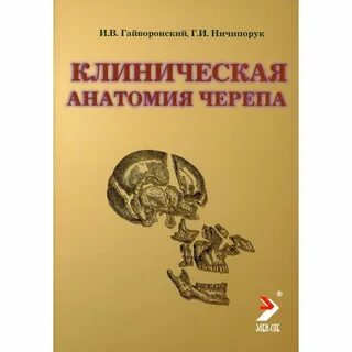 Гайворонский мочеполовая система