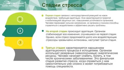 Что происходит после стресса