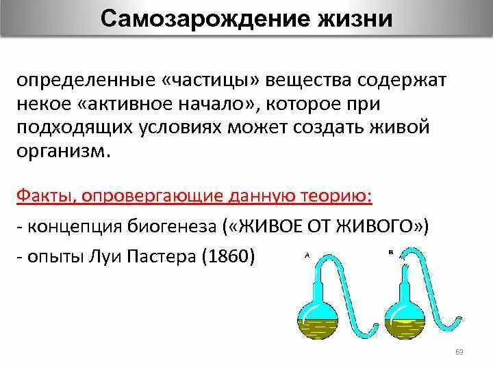 Почему гипотеза о самозарождении организмов продержалась