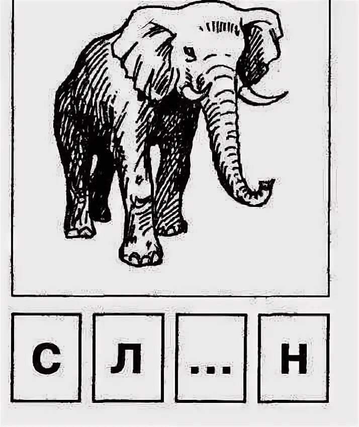 Слоги в слове слон. Слон звуковая схема для 1 класса. Слон звуковая схема. Звуковой анализ слон. Схема слова слон 1 класс.