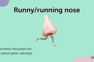 Ши ноуз перевод. Ши ноуз перевод. Ши ноуз перевод. Ши ноуз перевод. Ши ноуз перевод.
