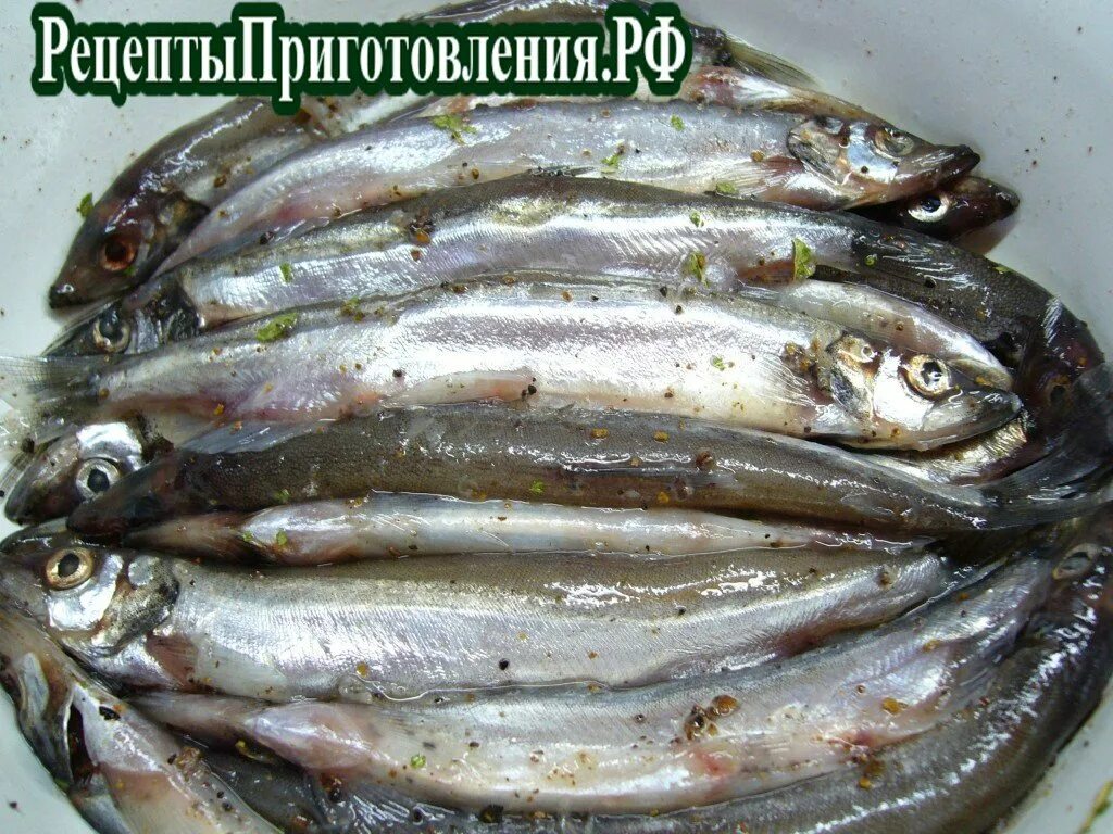 Вкусная мойва пряного посола. Мойва пряного посола. Мойва пряная слабосолёная. Мойва соленая. Мойва малосольная.