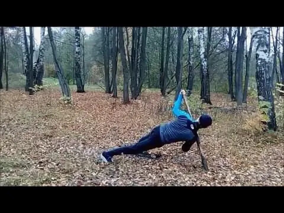 Егерь лесник. Упавшее дерево. Лес в тумане. Лес бить. Молния в дерево.