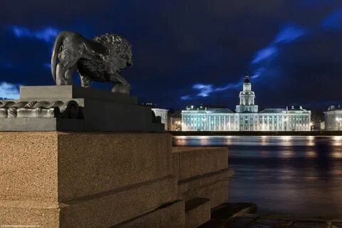 Спуск со львами санкт петербург