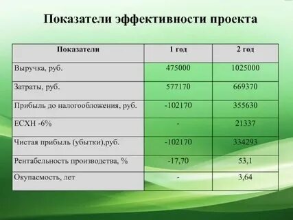 Эффективный проект пример