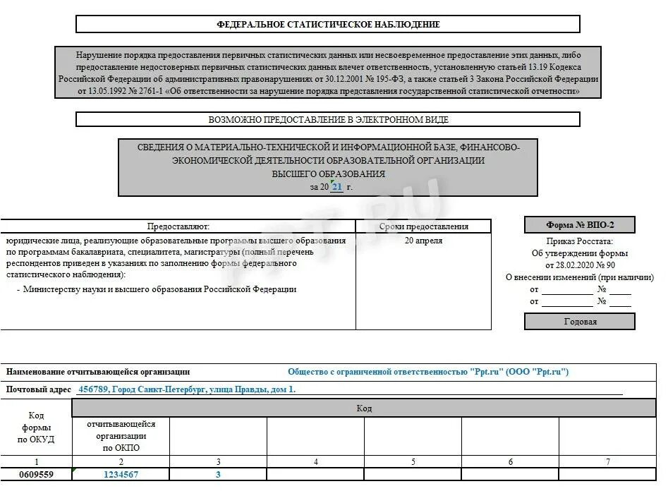 Федеральное статистическое наблюдение образец заполнения. ВПО-2 форма статистической отчетности. ВПО-1 форма статистической отчетности. Форма ВПО. Форма впо 2