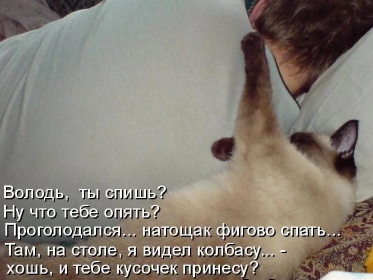 Тихо спит. Я спать картинки. Роб скоттон овечки. Тихо я сплю. Лучше поспи.