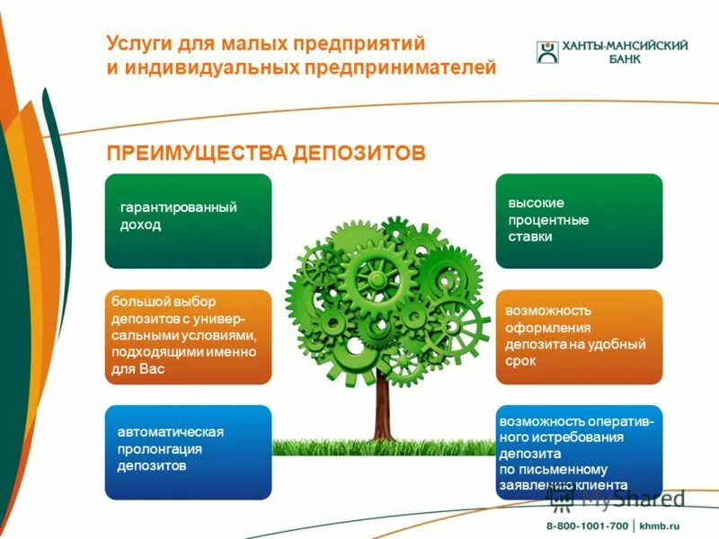 мероприятия для индивидуальных предпринимателей