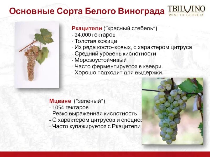 Лучший сорт винограда для белого вина. Уровень кислотности сортов винограда. кислотность сортов винограда. сорта винограда по кислотности. таблица кислотности сортов винограда.