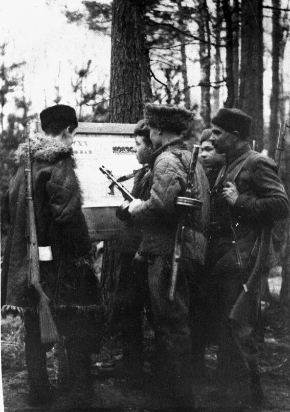 партизаны вов читать. партизаны великой отечественной войны. партизаны вов читать. карпатский рейд партизанского соединения с. партизаны вов читать.