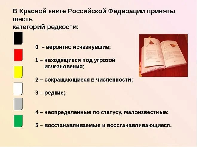 Категории красной книги. Категории редкости красной книги. Категория статуса редкости в красной книге. Категории животных в красной книге. Редкость книги