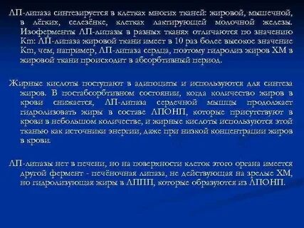 Липаза что показывает