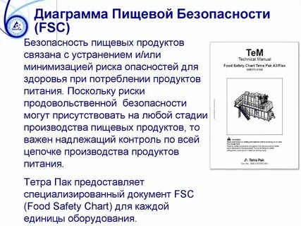Тетра текст