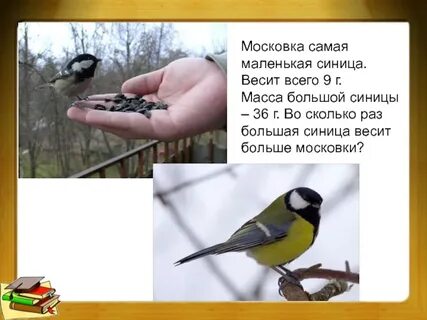 Сколько синица большая