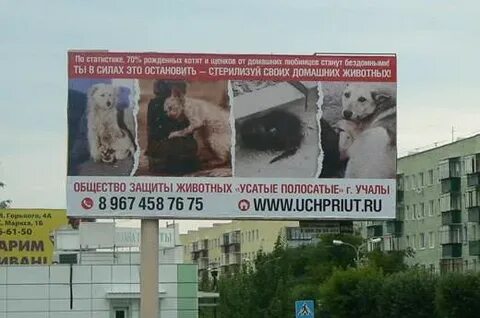 Реклама социальной защиты