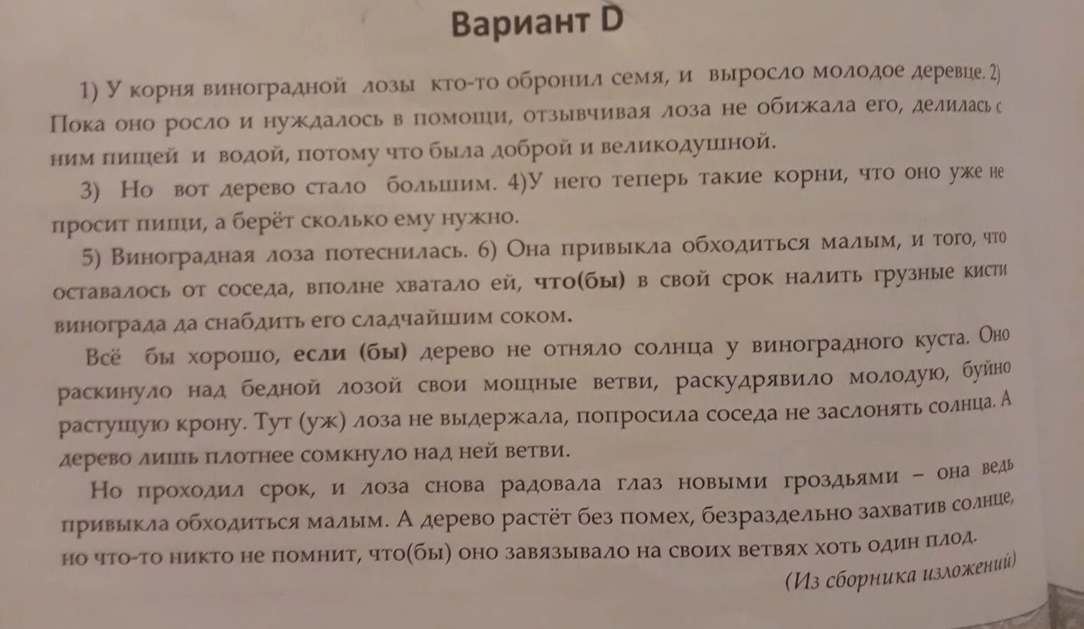 Изложение любимая игрушка текст. У корня виноградной лозы текст. Изложение соседи. Текст соседи у корня виноградной. Изложение соседи Виноградная лоза.