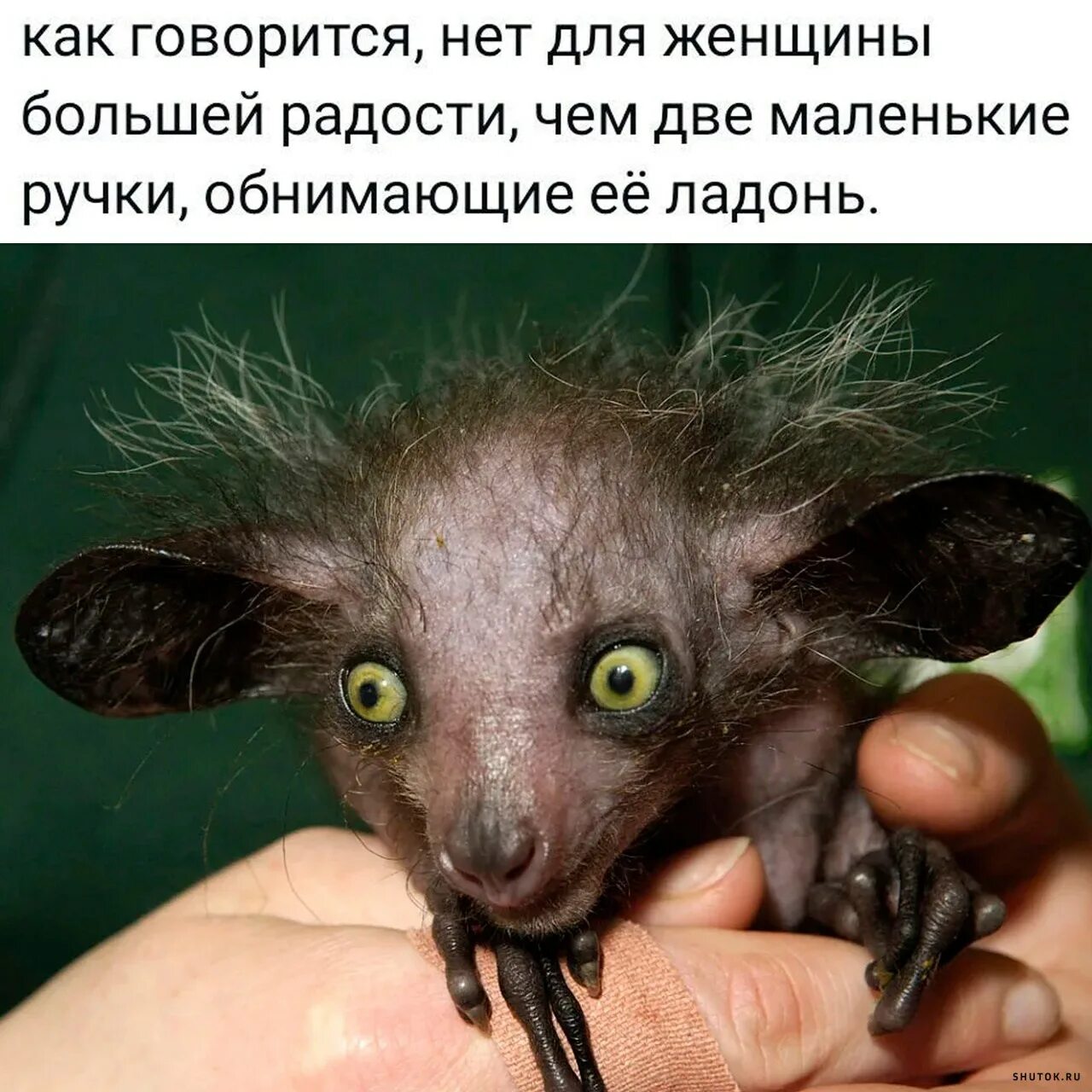 Очень страшно жить. Очень страшно жить