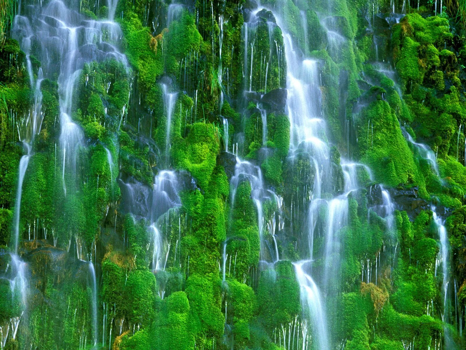 Живые обои зеленые. Водопад Мосбрей, США. Водопады Мосбрай Калифорния. Водопад Мосбрей США фото. Водопад Сангардак.