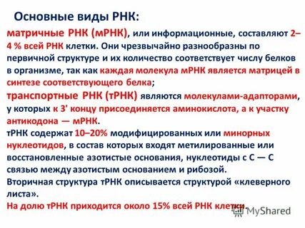 Рнк вич обнаружено