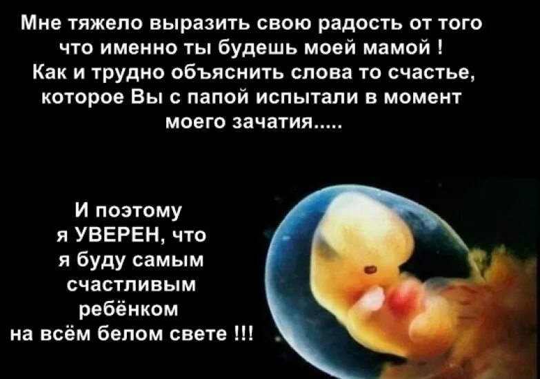 трудно выразить словами. сказать о чувствах. трудно выразить словами. выразить соболезнование. стихотворение ветка палестины.