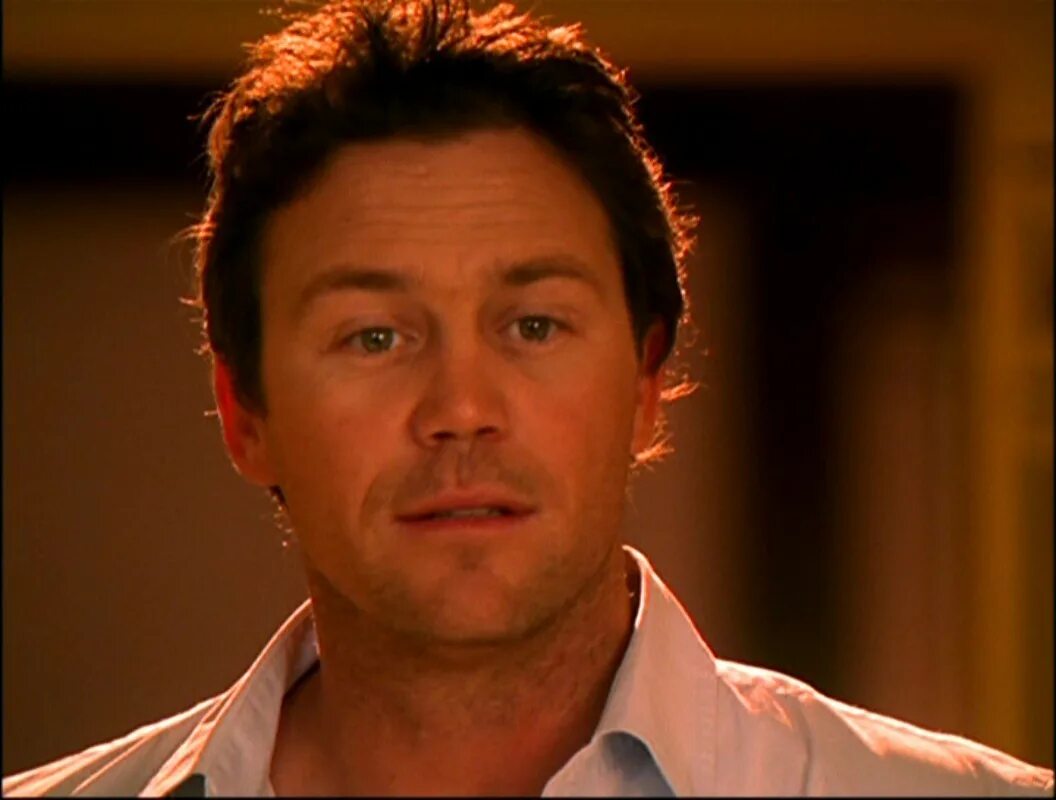Лео зачарованные. Зачарованные лео уайатт. brian krause. brian krause charmed.