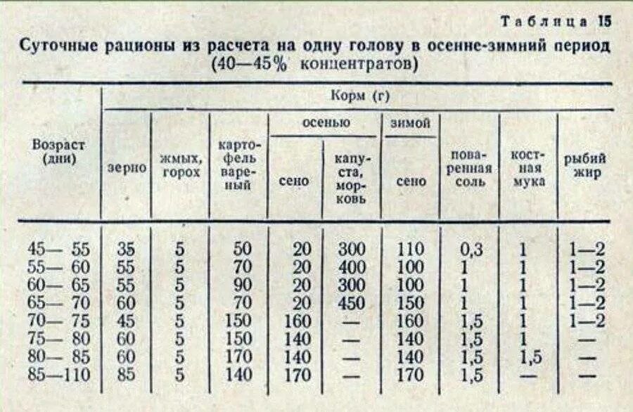 Сколько сена кролику. Рацион кормления кроликов таблица. Суточный рацион кормов для кроликов. Нормы кормления для кроликов таблица. Кормление , составление рациона для кроликов таблица.