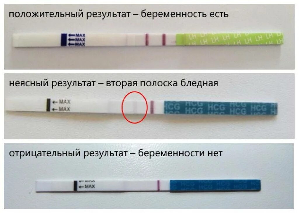 Что означает вторая полоска на тесте бледная