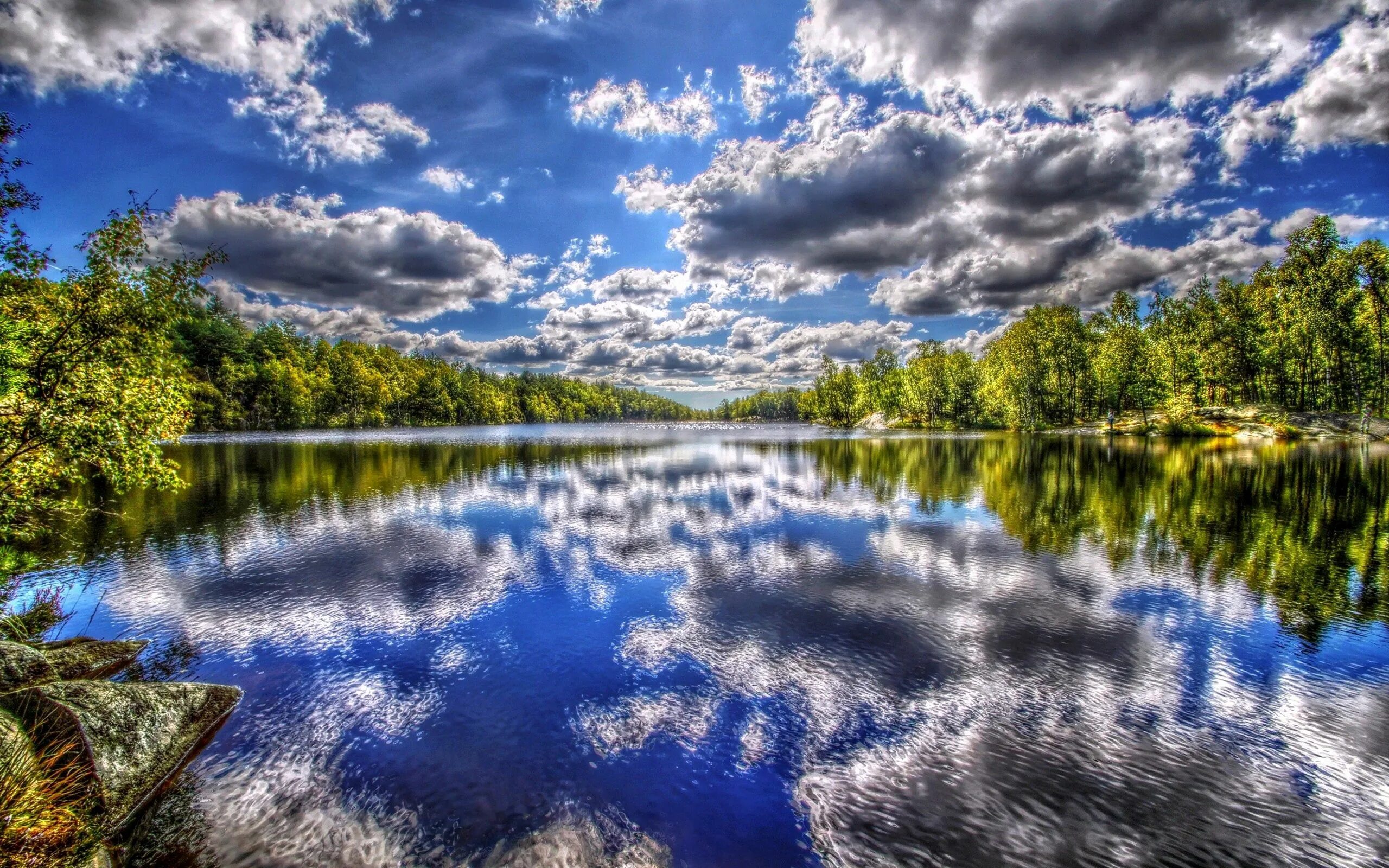 Пейзаж с рекой. Красивая река. Чистая природа. Отражение природы в воде.