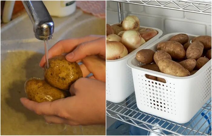 Надо ли мыть картошку на хранение. Надо ли мыть картошку на хранение